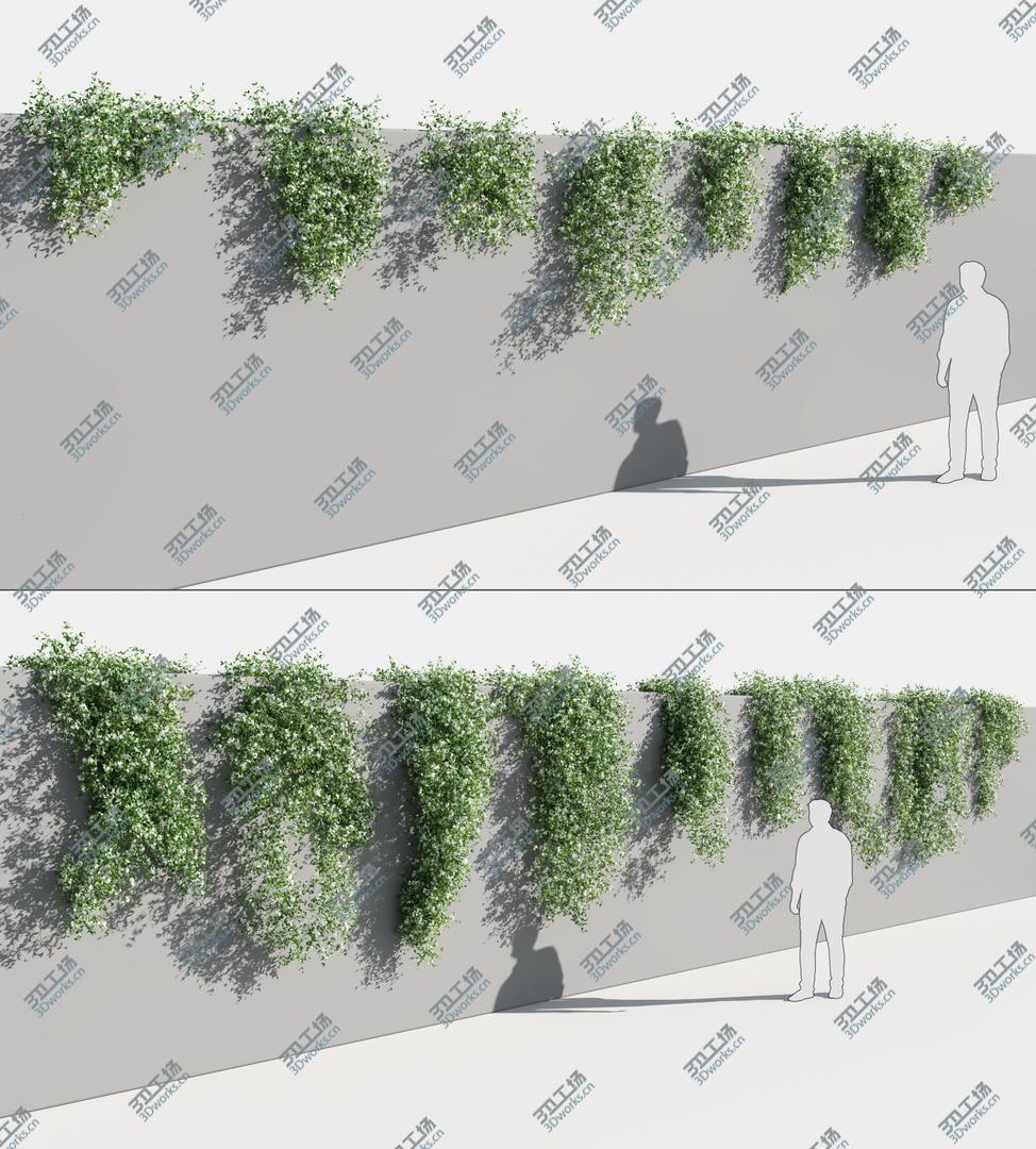 images/goods_img/202105073/Star Jasmine (-GrowFX) 3D model/3.jpg